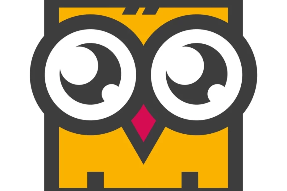 Camcha - startup