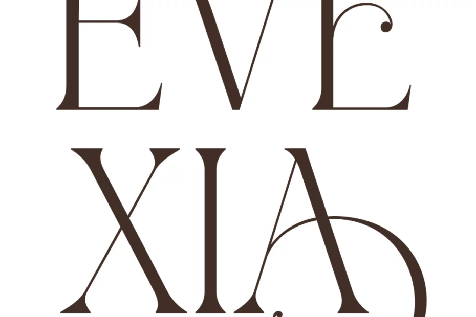 Evexia consièregerie - startup